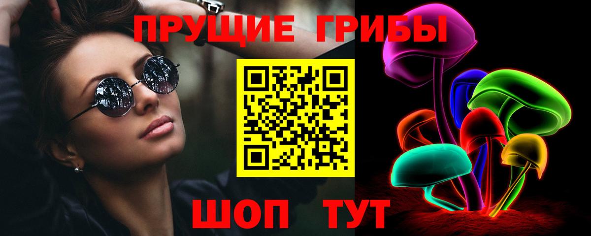 Энгельс  Галлюциногенные грибы ЛСД  Псилоцибиновые грибы Psilocybine cubensis  Вход с VPN 